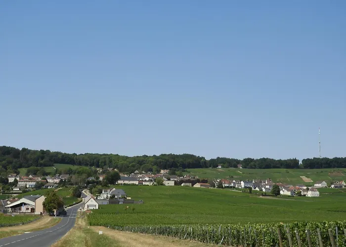 Les Galipes Apartment Hautvillers